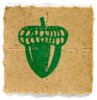 acorn