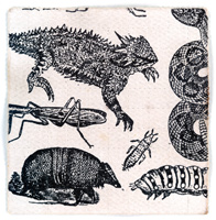 creatures