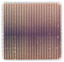 purplezigzag