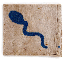 sperm